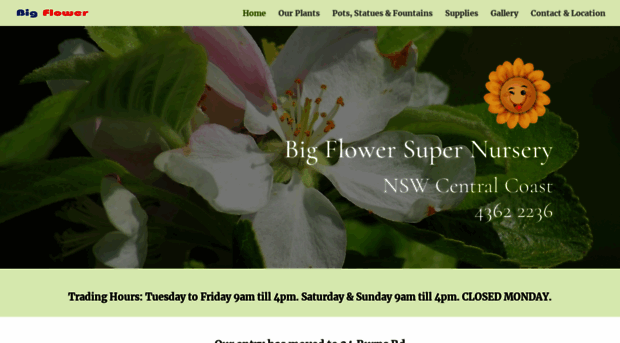 bigflower.com.au