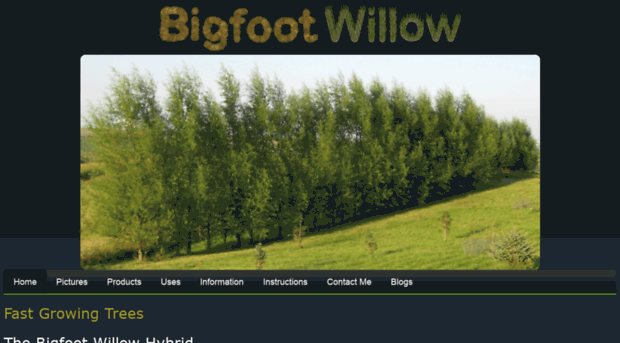 bigfootwillow.com