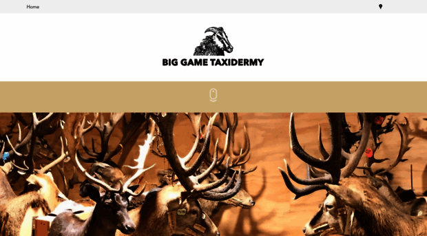 biggametaxidermy.com