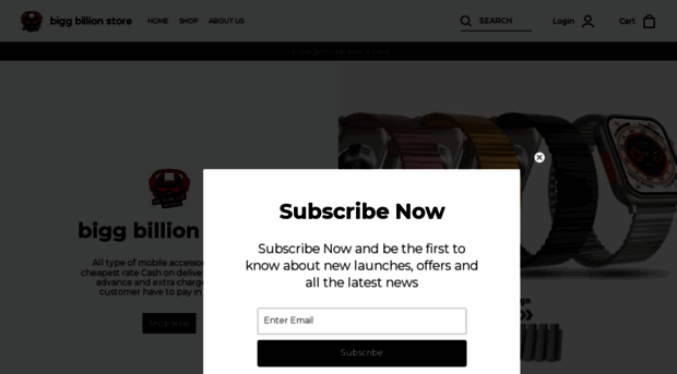 biggbillionstore.com