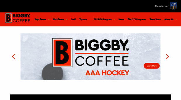 biggbyaaahockey.com