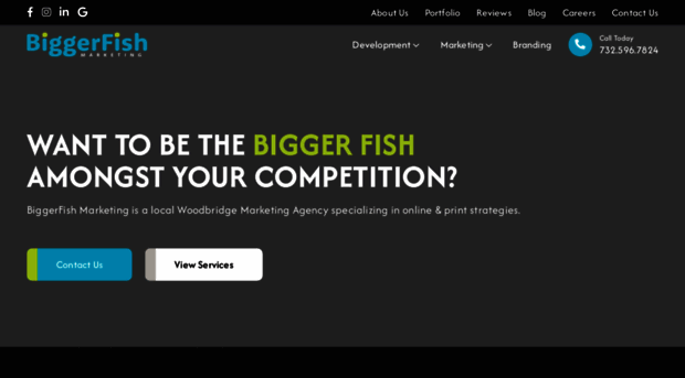 biggerfishmarketing.com