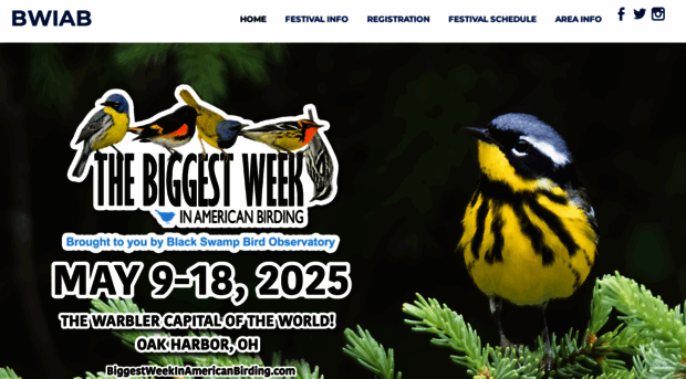 biggestweekinamericanbirding.com