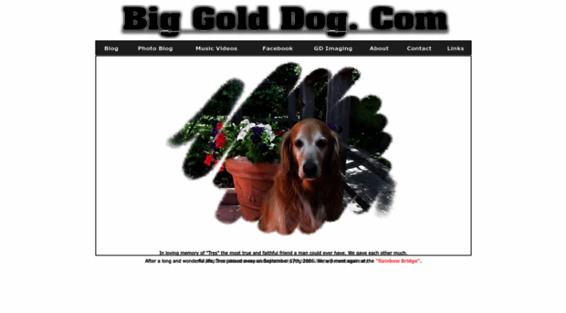 biggolddog.com