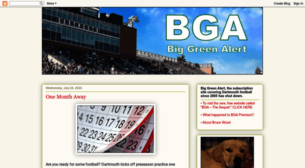 biggreenalertblog.blogspot.com