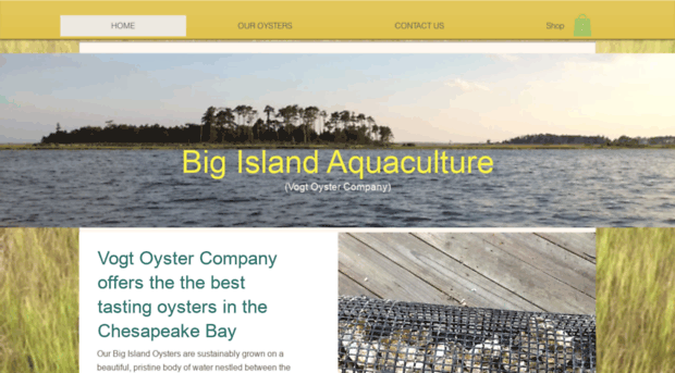 bigislandaquaculture.com