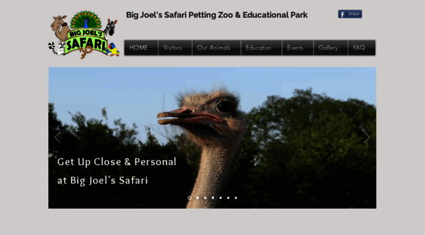 bigjoelsafari.com