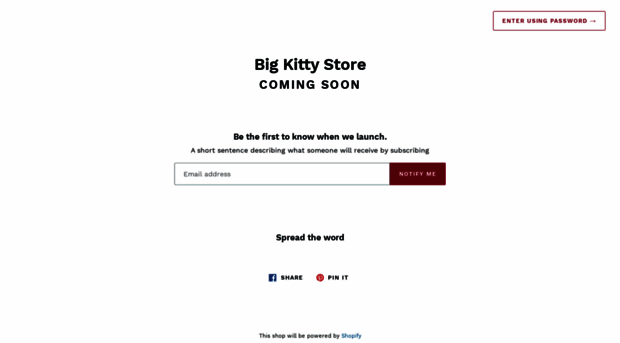 bigkittystore.com