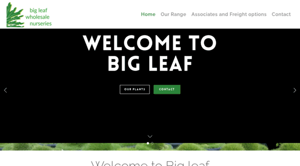 bigleaf.com.au