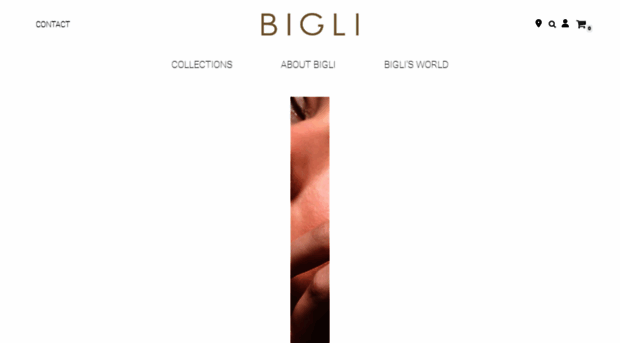 bigli.net