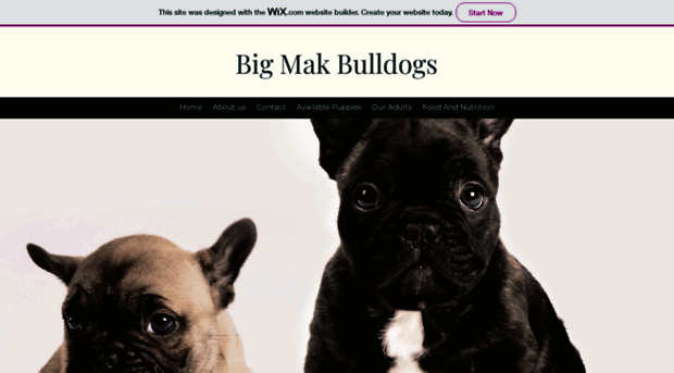 bigmakbulldogs.com