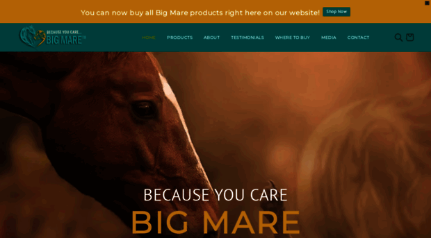 bigmare.com