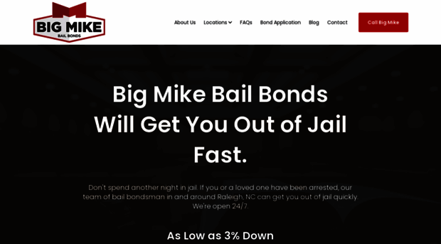 bigmikebailbonds.com