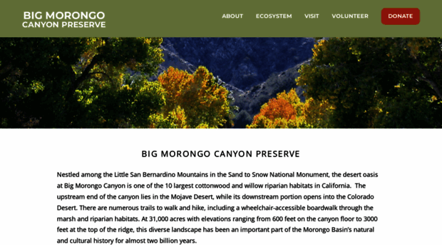 bigmorongo.org