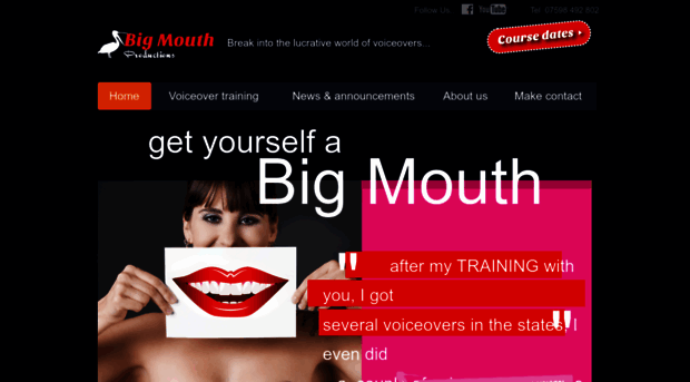 bigmouthvox.com