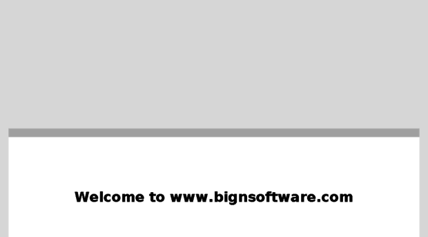 bignsoftware.com