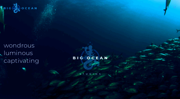 bigocean.com