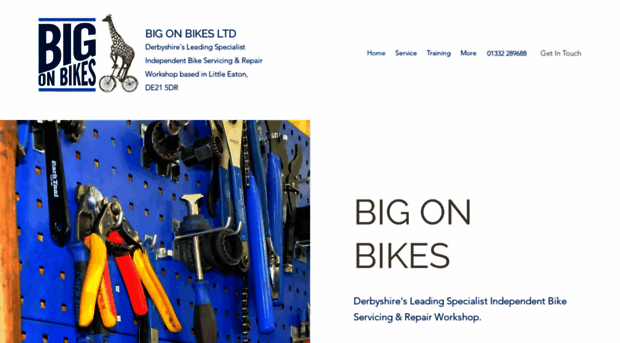 bigonbikes.co.uk