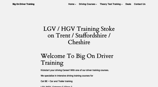 bigondrivertraining.com