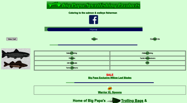 bigpapasportfishing.com