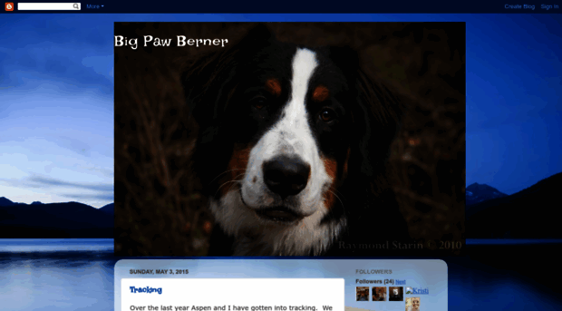 bigpawberner.blogspot.com