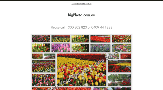 bigphoto.com.au