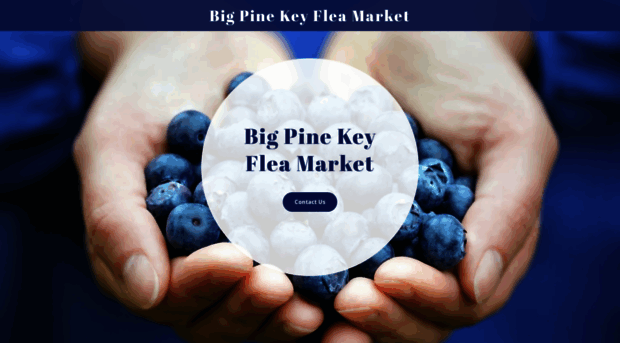 bigpinefleamarket.com