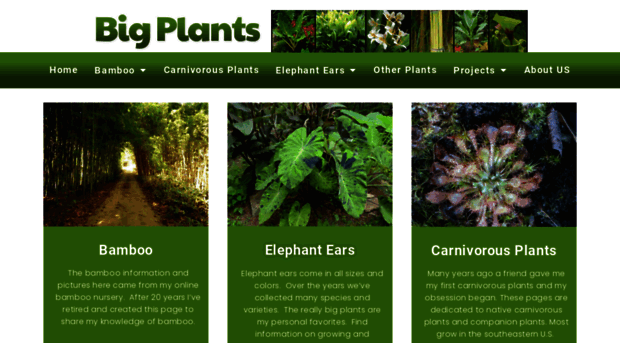 bigplants.com