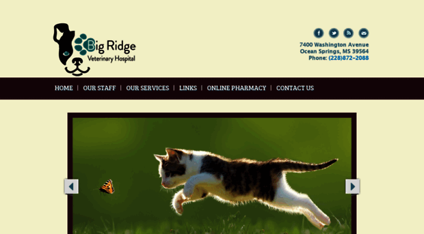 bigridgevet.com