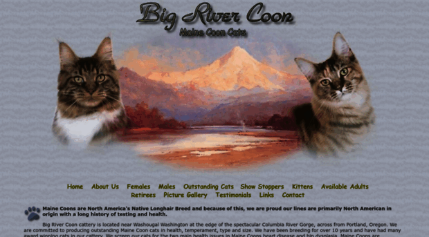 bigrivercoon.com