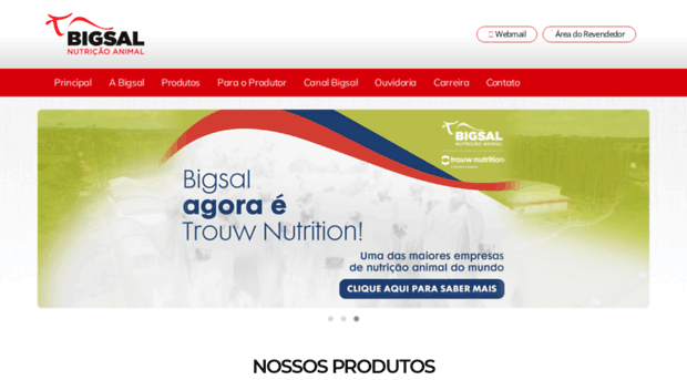 bigsal.com.br