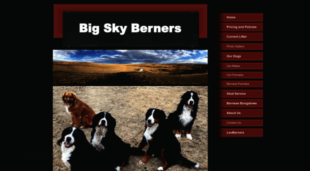 bigskyberners.com