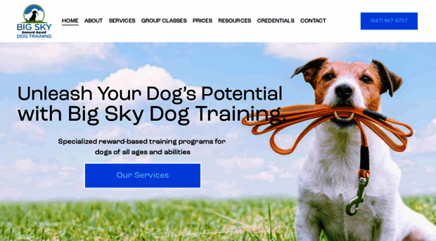 bigskydogtraining.com