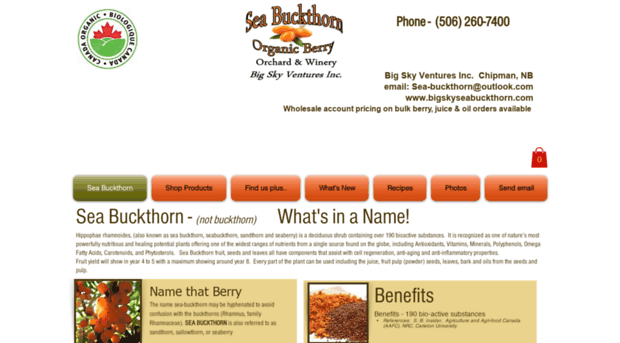 bigskyseabuckthorn.com