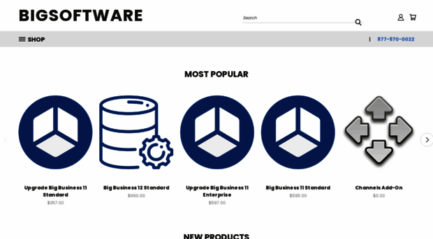 bigsoftware.com