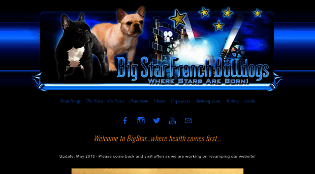 bigstarbulldogs.com