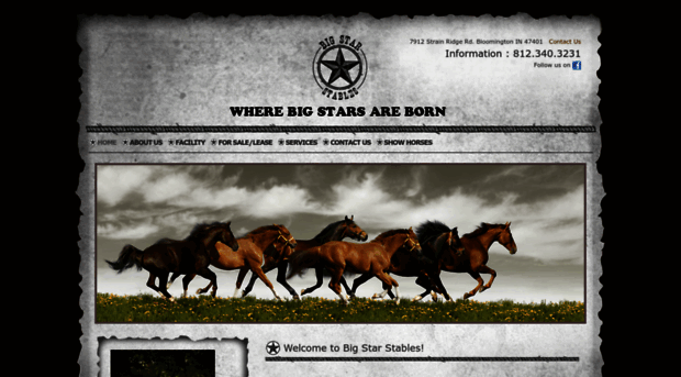 bigstarstables.com