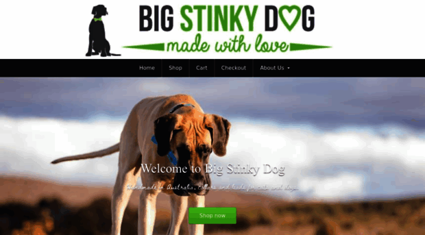 bigstinkydog.com