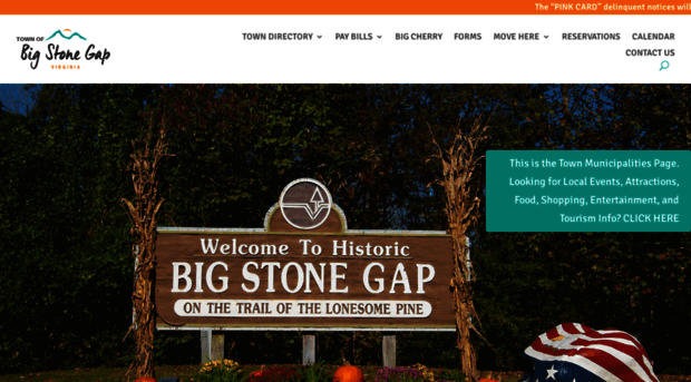 bigstonegap.org