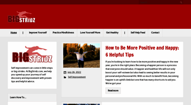 bigstridz.com