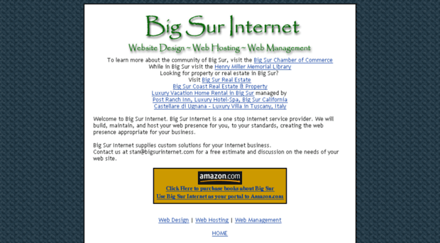 bigsurinternet.com