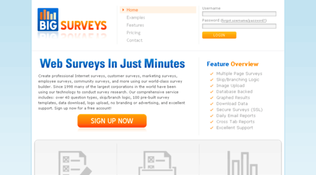 bigsurveys.com