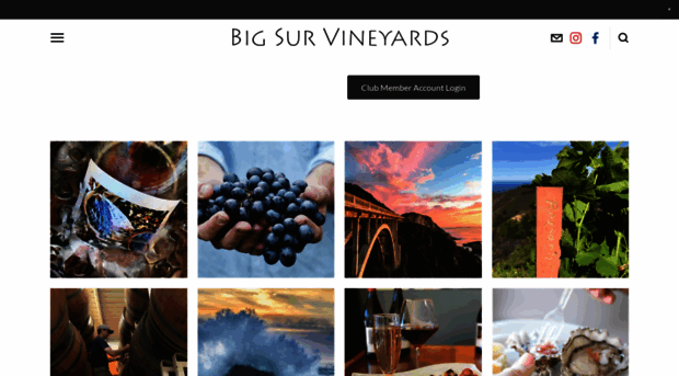 bigsurvineyards.com