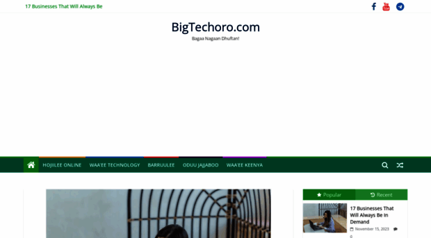 bigtechoro.com