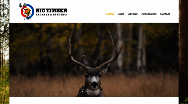 bigtimberarchery.com