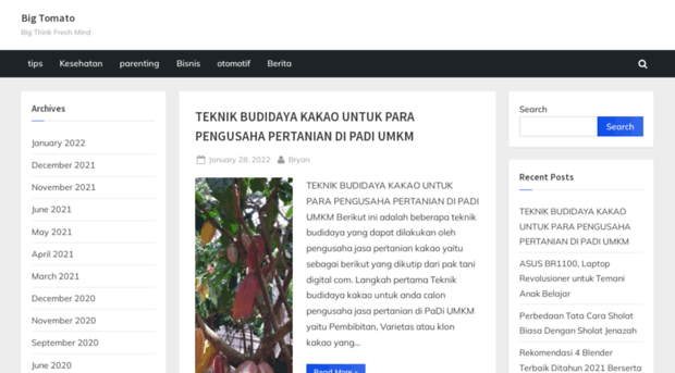 bigtomato.org