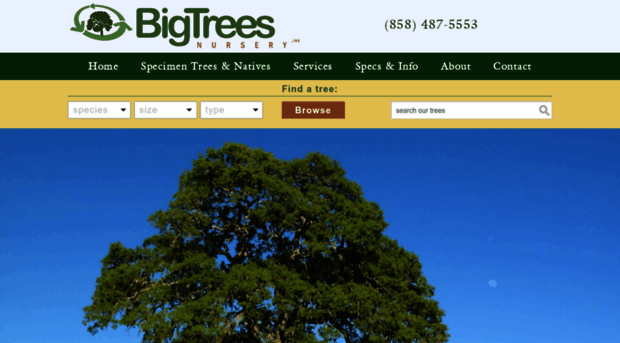 bigtreesnursery.com