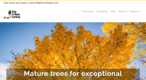 bigtreestoday.com