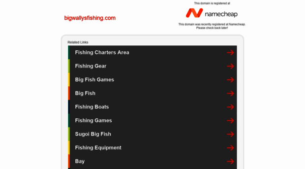 bigwallysfishing.com