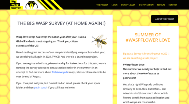 bigwaspsurvey.org